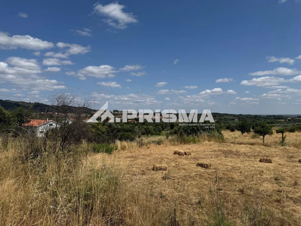Terreno para Venda em Louriçal do Campo Foto 19