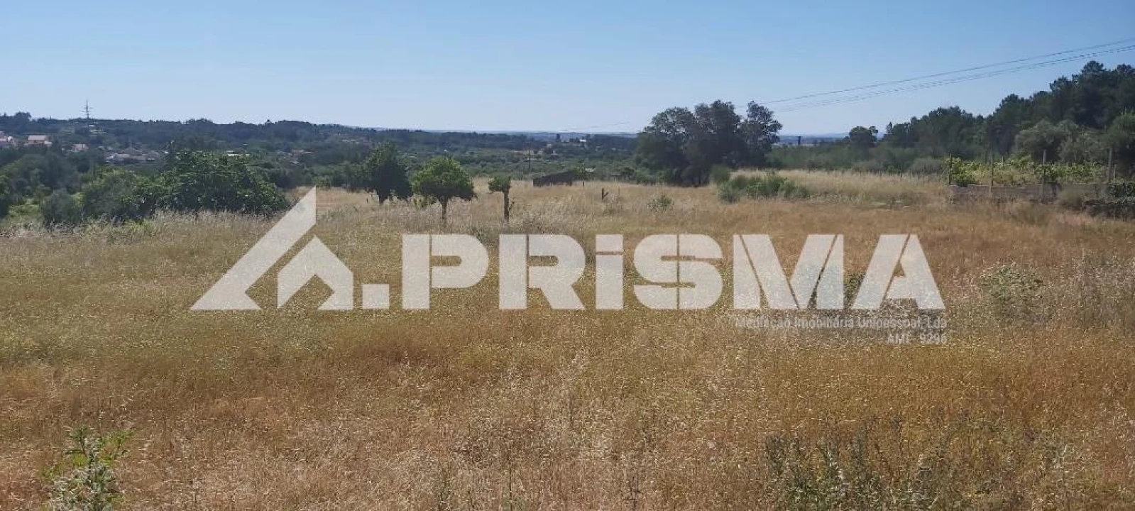 Terreno para Venda em Louriçal do Campo Foto 5