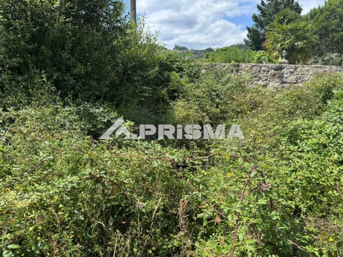 Terreno para Venda em Louriçal do Campo Foto 23