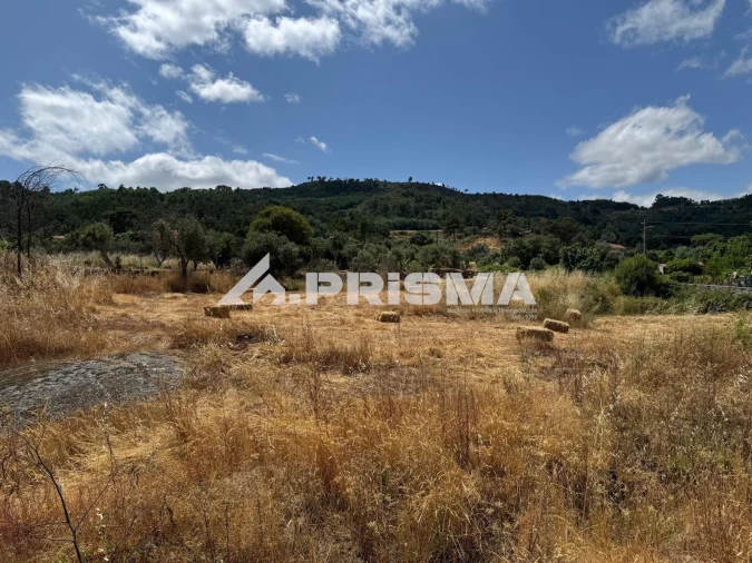 Terreno para Venda em Louriçal do Campo Foto 20