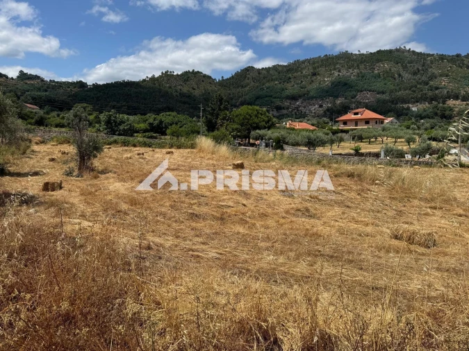 Terreno para Venda em Louriçal do Campo Foto 15