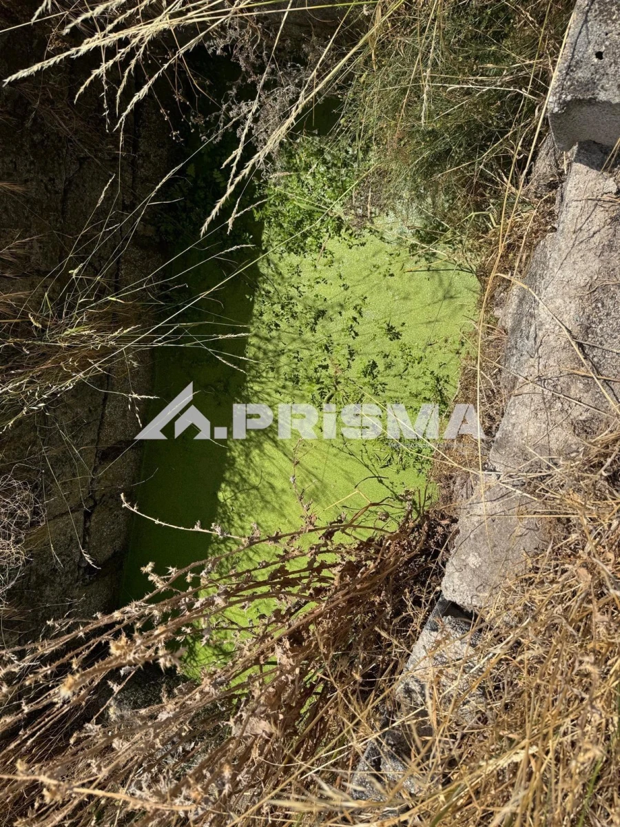 Terreno para Venda em Louriçal do Campo Foto 22