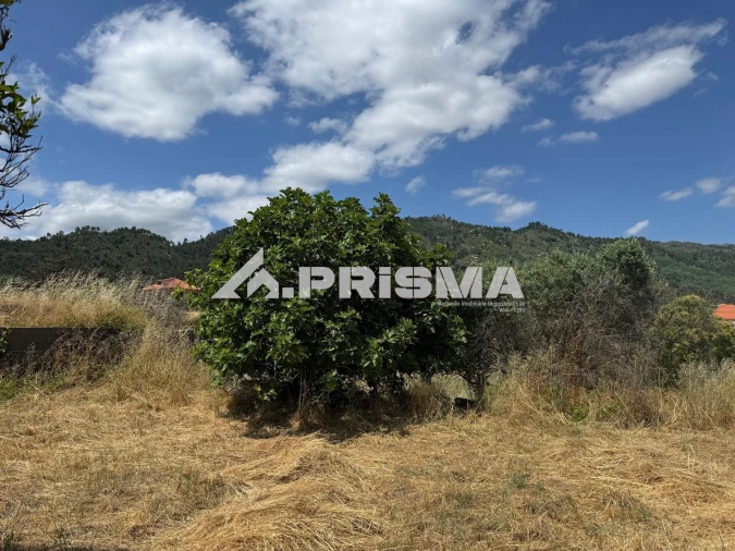 Terreno para Venda em Louriçal do Campo Foto 27