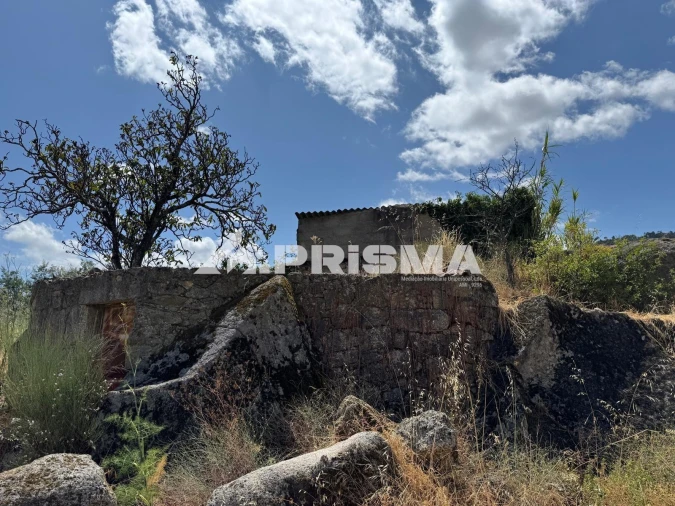 Terreno para Venda em Louriçal do Campo Foto 26