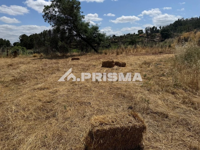 Terreno para Venda em Louriçal do Campo Foto 8