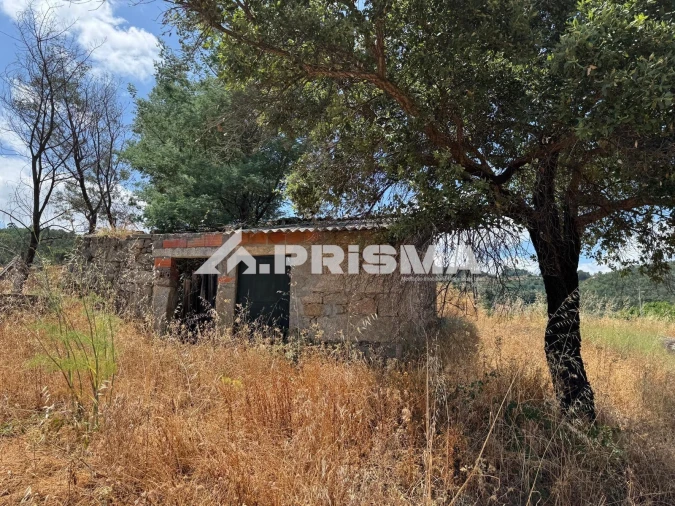 Terreno para Venda em Louriçal do Campo Foto 31