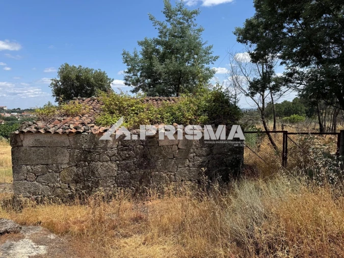Terreno para Venda em Louriçal do Campo Foto 16