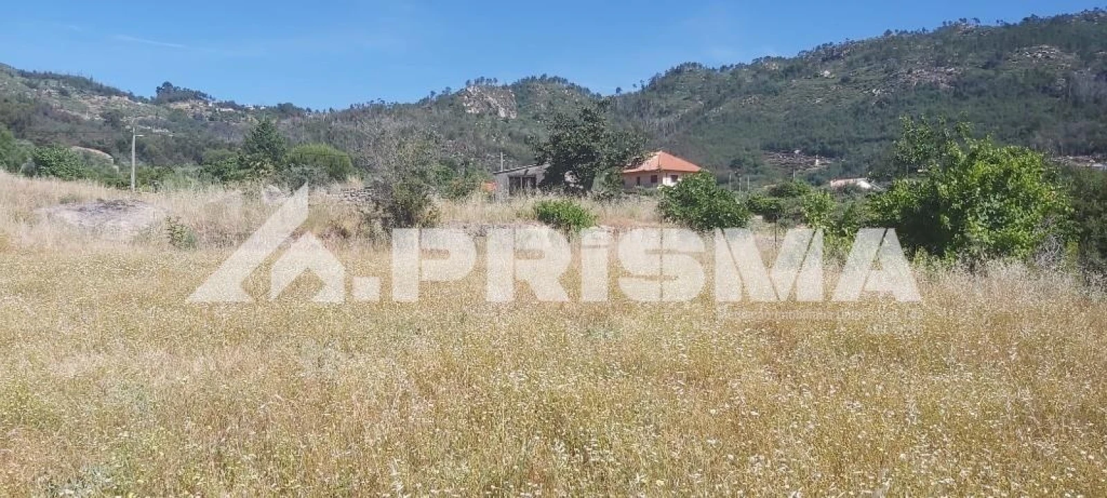 Terreno para Venda em Louriçal do Campo Foto 6