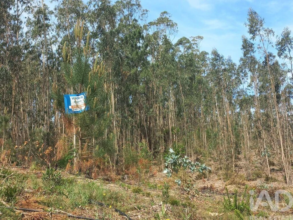 Terreno para Venda em Arrabal Foto 9