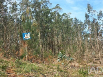 Terreno para Venda em Arrabal