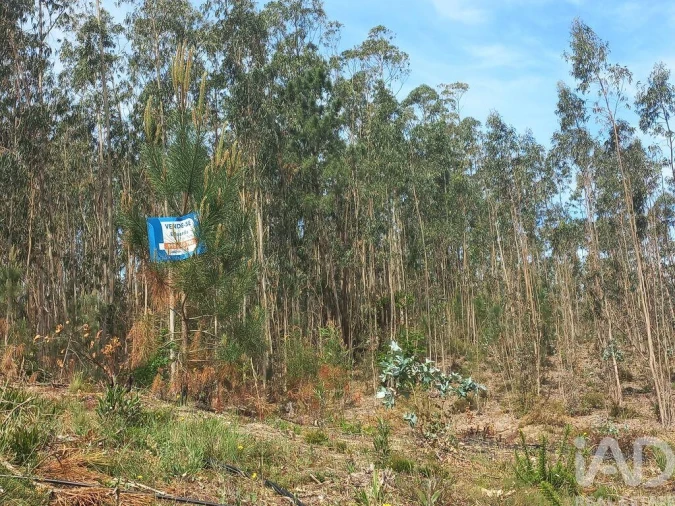 Terreno para Venda em Arrabal Foto 9