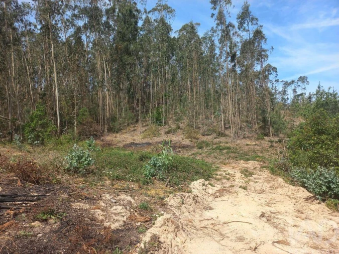 Terreno para Venda em Arrabal Foto 6