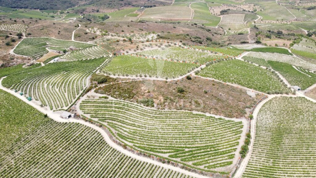 Terreno para Venda em Cedovim Foto 1