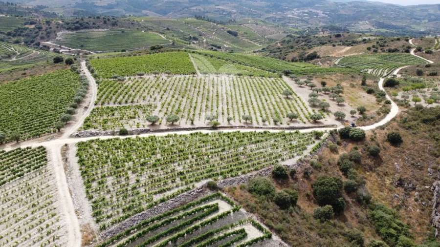 Terreno para Venda em Cedovim Foto 3