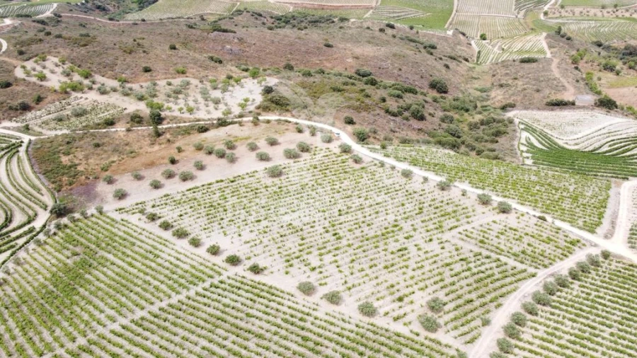 Terreno para Venda em Cedovim Foto 4