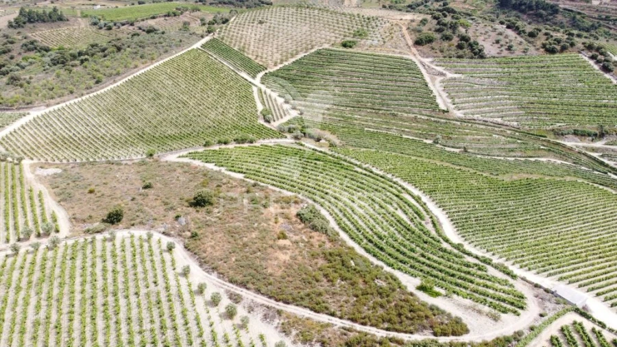 Terreno para Venda em Cedovim Foto 5