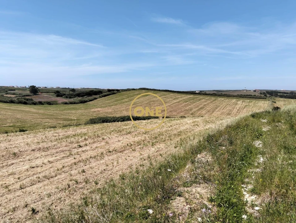 Terreno para Venda em São Pedro da Cadeira Foto 23