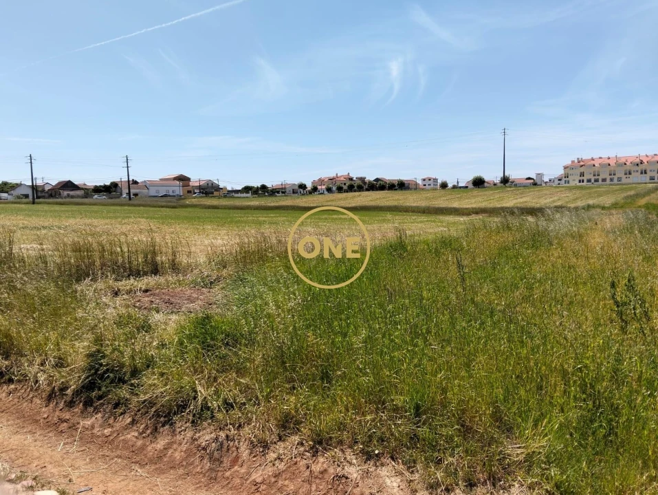 Terreno para Venda em São Pedro da Cadeira Foto 19
