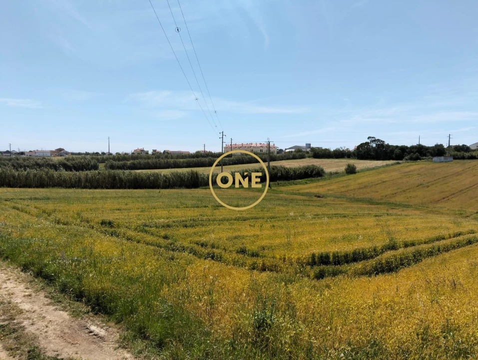 Terreno para Venda em São Pedro da Cadeira Foto 17