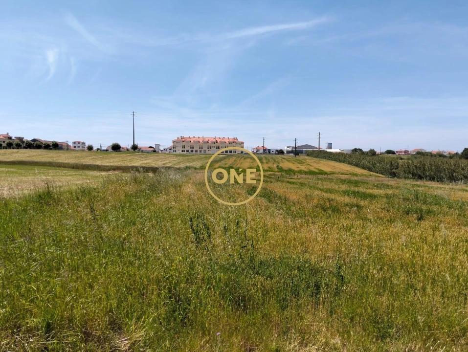 Terreno para Venda em São Pedro da Cadeira Foto 18