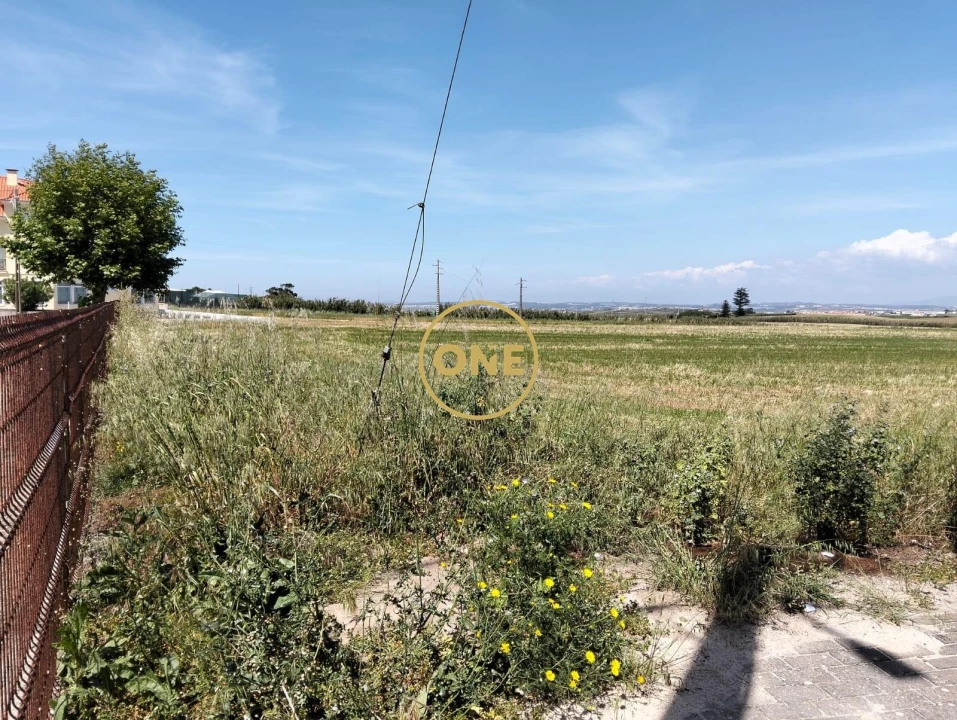 Terreno para Venda em São Pedro da Cadeira Foto 7