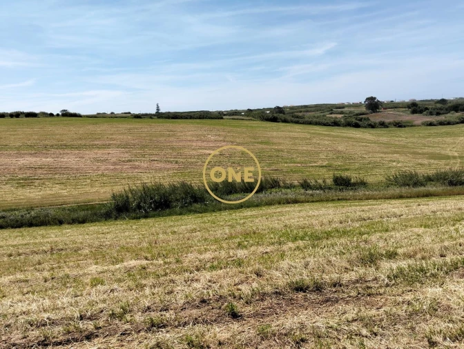 Terreno para Venda em São Pedro da Cadeira Foto 21