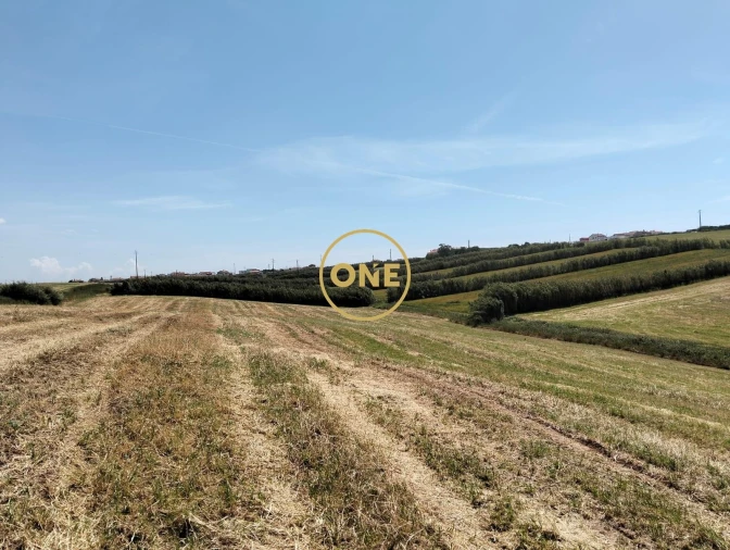 Terreno para Venda em São Pedro da Cadeira Foto 26