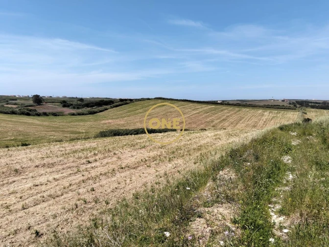 Terreno para Venda em São Pedro da Cadeira Foto 23