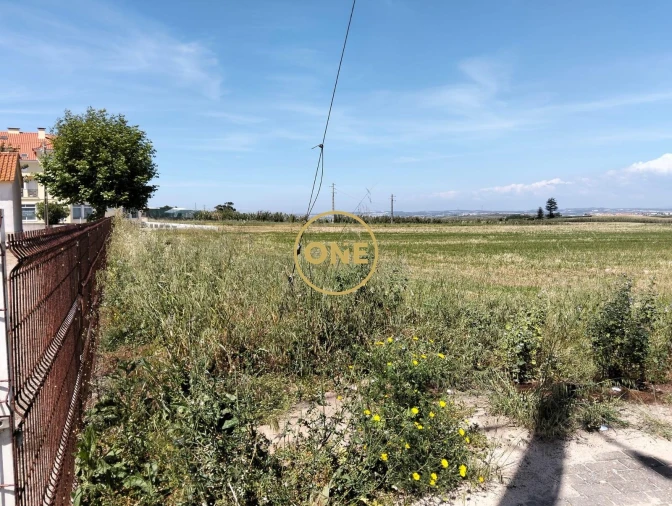 Terreno para Venda em São Pedro da Cadeira Foto 8