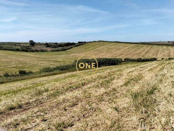 Terreno para Venda em São Pedro da Cadeira Foto 1