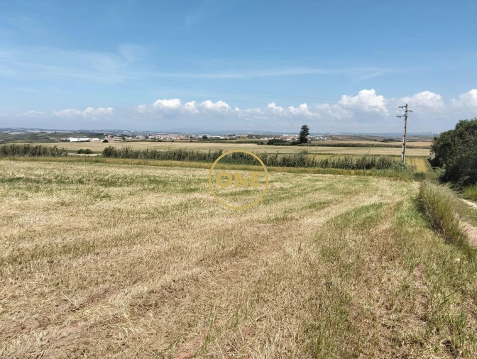 Terreno para Venda em São Pedro da Cadeira Foto 4
