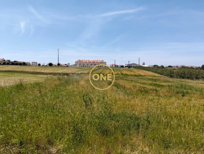 Terreno para Venda em São Pedro da Cadeira Foto 18