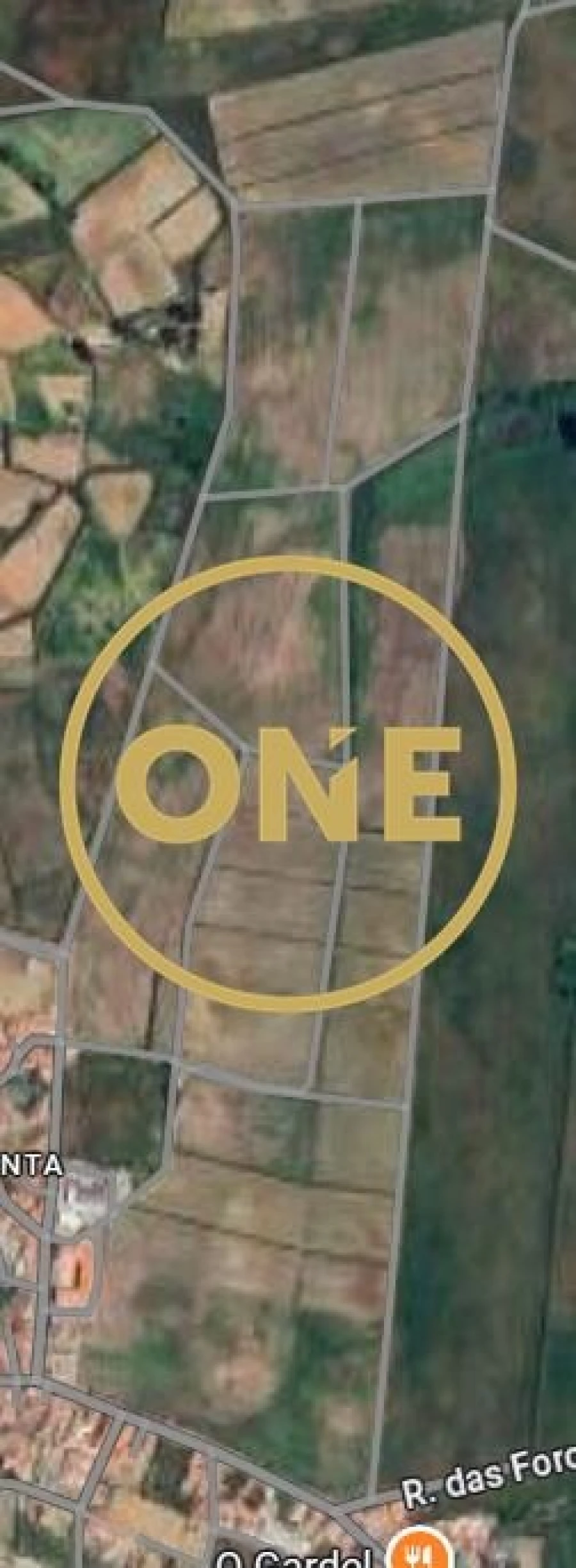 Terreno para Venda em São Pedro da Cadeira Foto 29