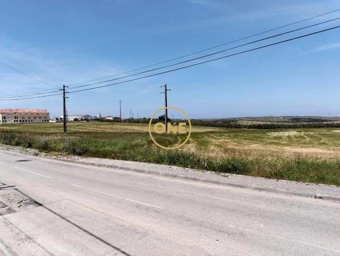 Terreno para Venda em São Pedro da Cadeira Foto 13
