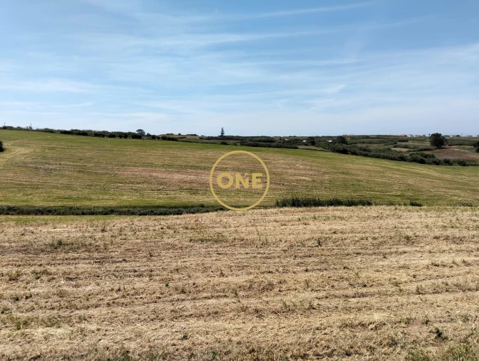 Terreno para Venda em São Pedro da Cadeira Foto 24