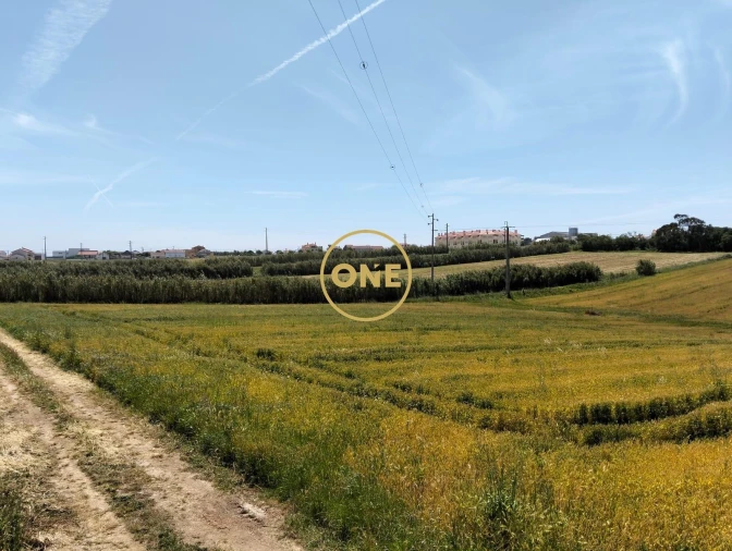 Terreno para Venda em São Pedro da Cadeira Foto 14