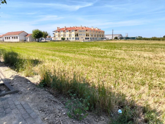 Terreno para Venda em São Pedro da Cadeira Foto 9