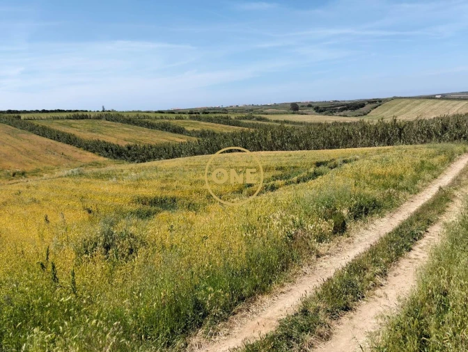 Terreno para Venda em São Pedro da Cadeira Foto 15