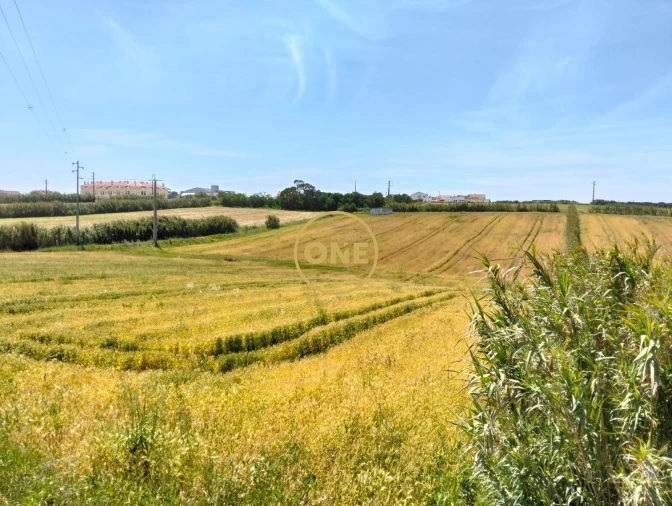 Terreno para Venda em São Pedro da Cadeira Foto 28