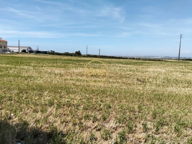 Terreno para Venda em São Pedro da Cadeira Foto 12