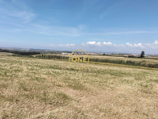 Terreno para Venda em São Pedro da Cadeira Foto 5
