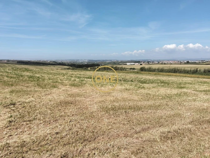 Terreno para Venda em São Pedro da Cadeira Foto 6