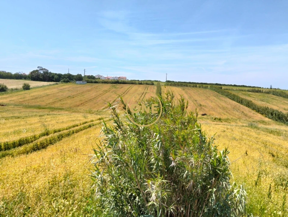 Terreno para Venda em São Pedro da Cadeira Foto 27