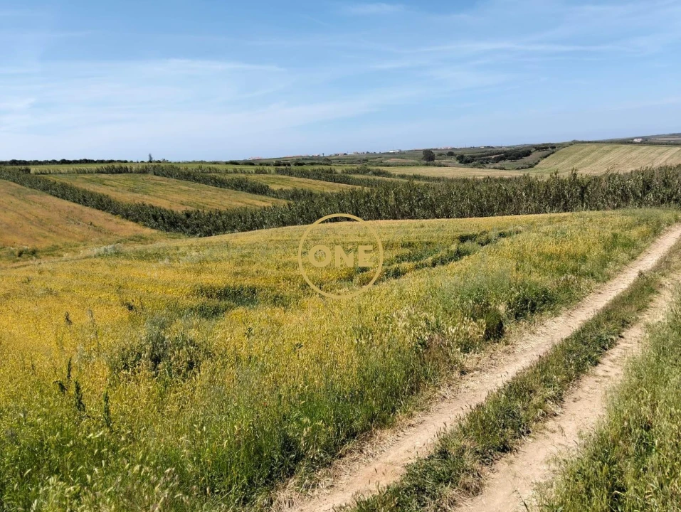 Terreno para Venda em São Pedro da Cadeira Foto 15