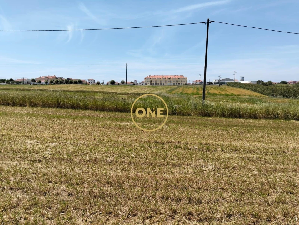 Terreno para Venda em São Pedro da Cadeira Foto 20