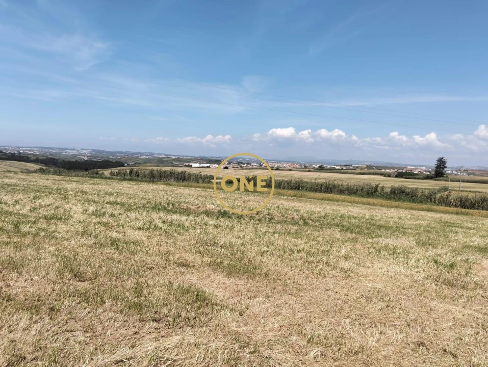 Terreno para Venda em São Pedro da Cadeira Foto 5