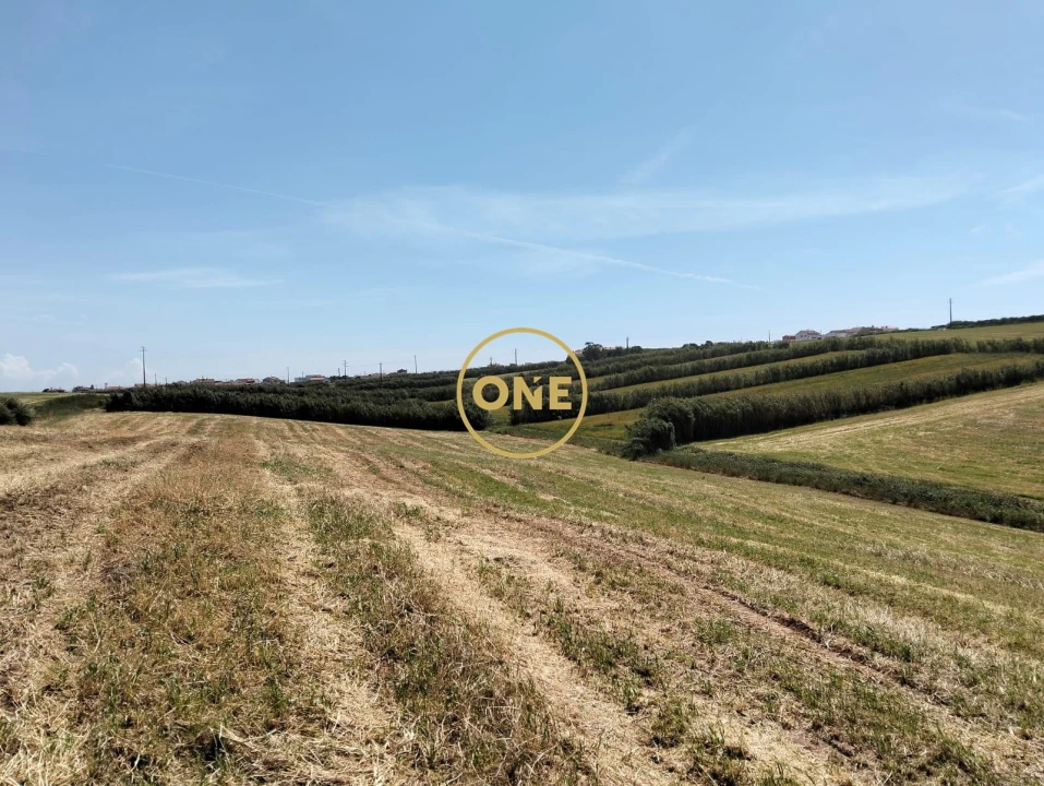 Terreno para Venda em São Pedro da Cadeira Foto 2