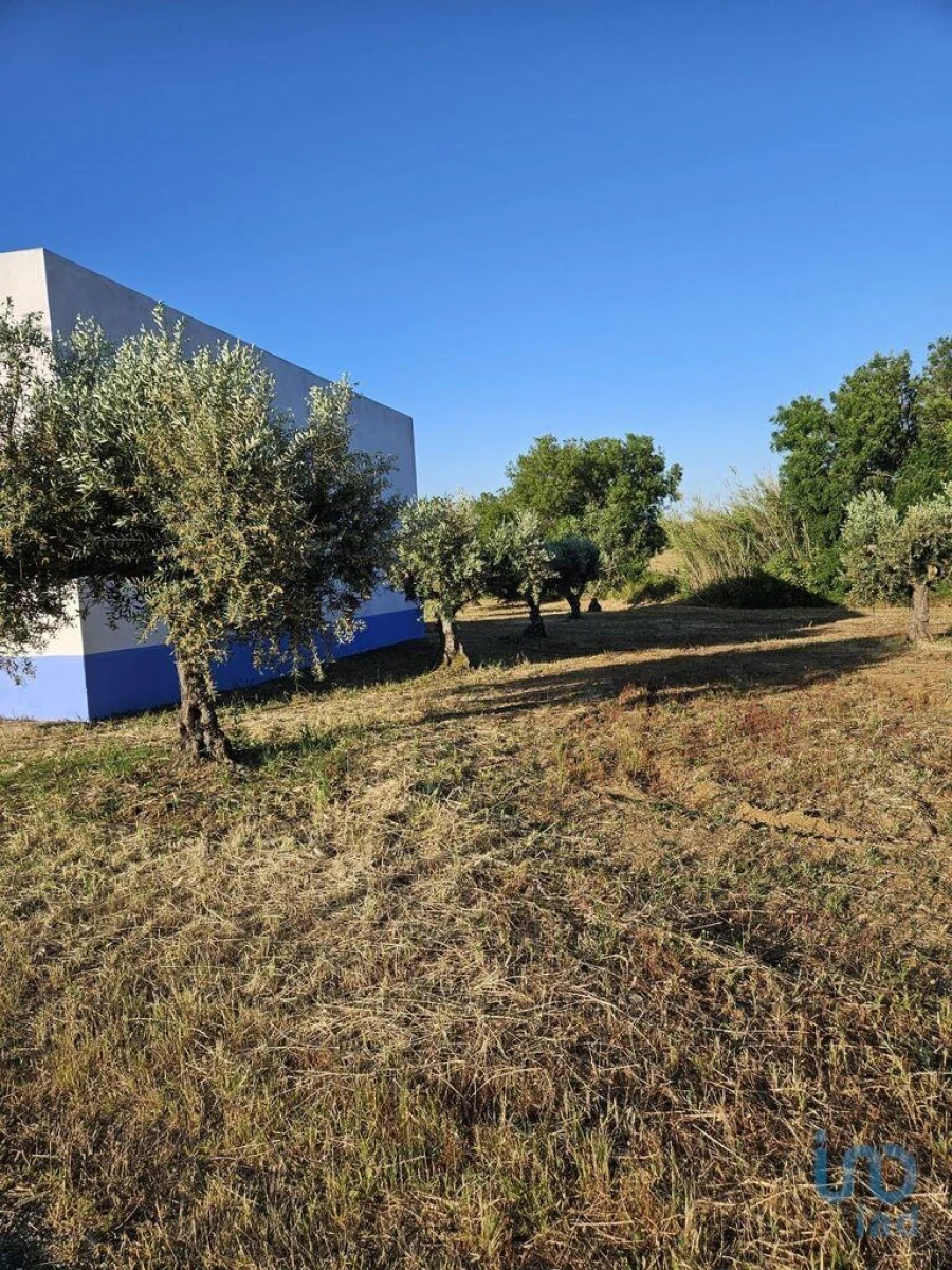 Loja para Venda em Vidigueira Foto 3