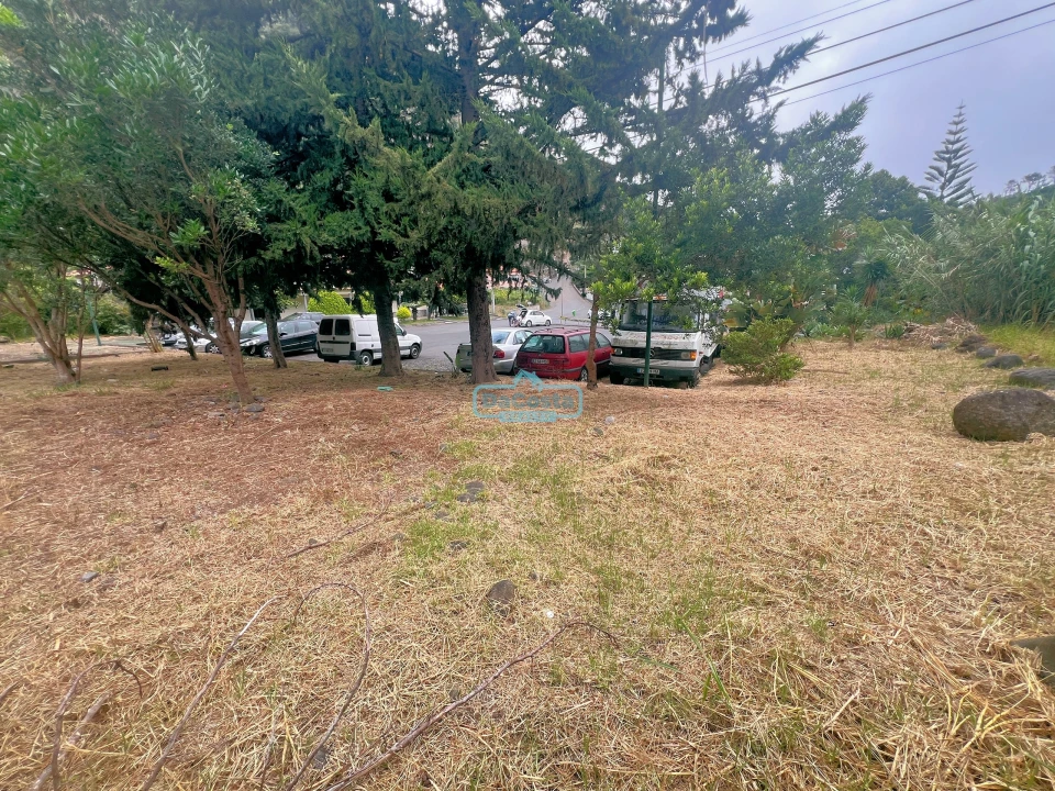 Negócio para Venda em Faial Foto 9