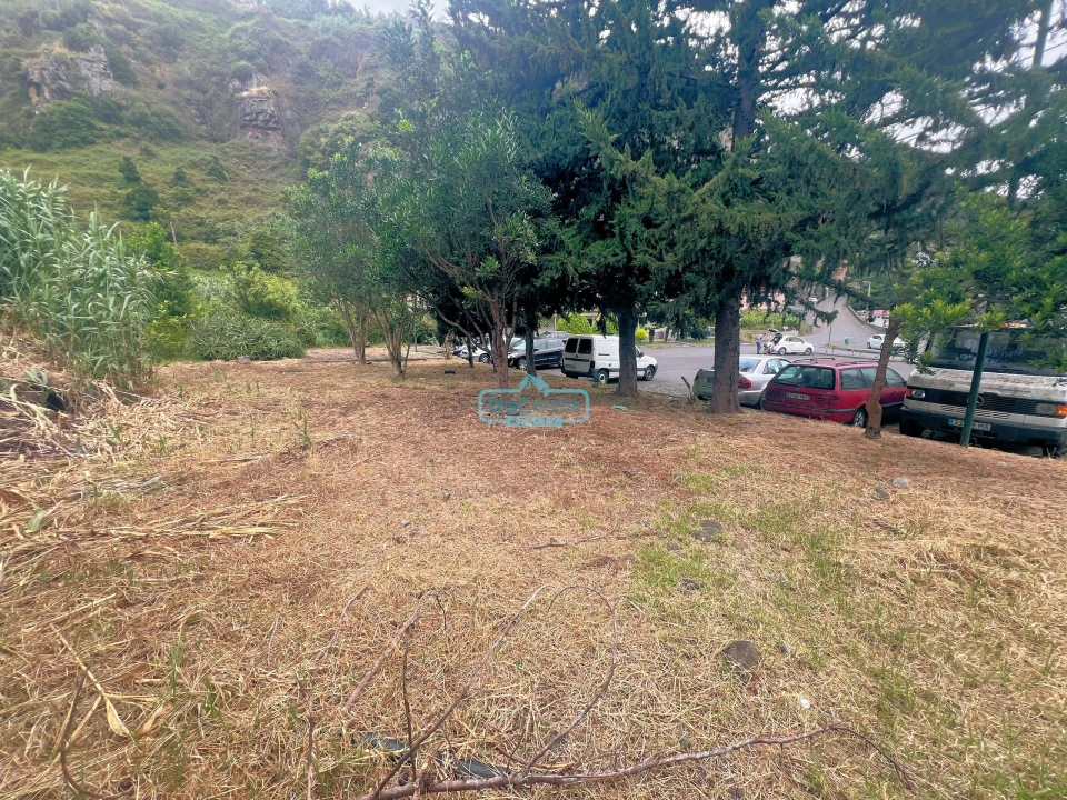 Negócio para Venda em Faial Foto 10
